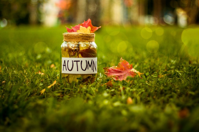 Autumn Finance Bill published