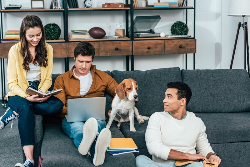 Student and postgraduate loan thresholds and rates