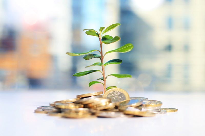 Government backed Start Up Loans