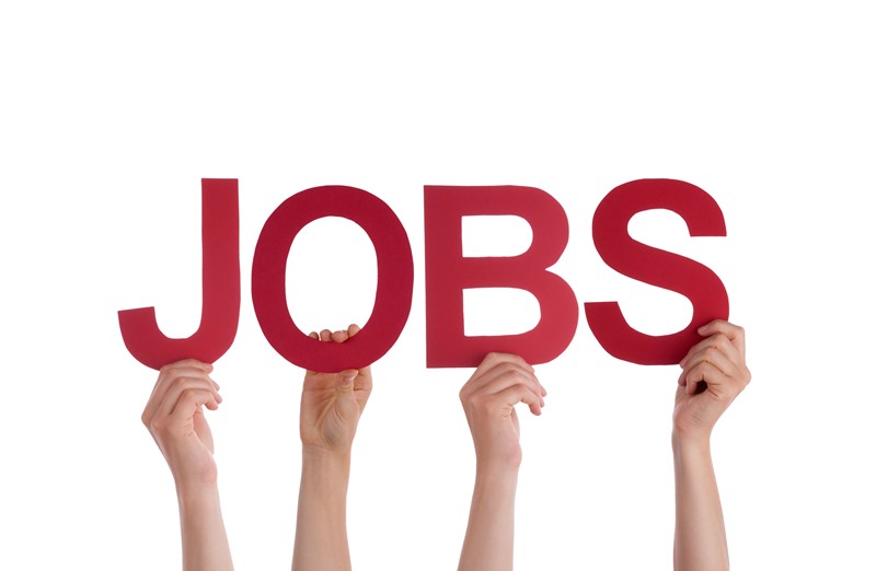 Use HMRC app and be job ready this summer