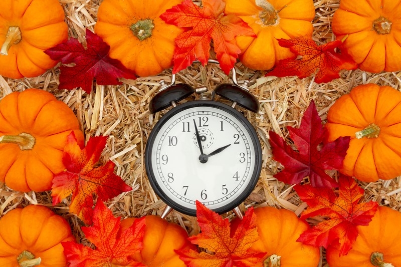 Autumn Budget : What Changes Might Be on the Horizon?