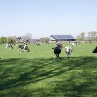 Overview of IHT agricultural relief