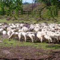 ba db afd ccaab