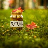 Autumn Finance Bill published
