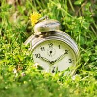 Tax Diary March/April
