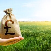 Do you have additional income streams?