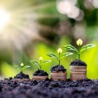 Tax rules for savings interest