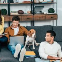 Student and postgraduate loan thresholds and rates