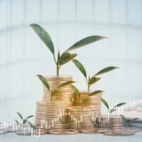 VAT – advantages of the VAT Flat Rate Scheme