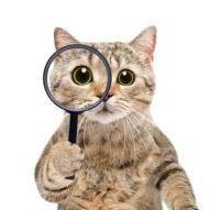 Tracking down lost pension details