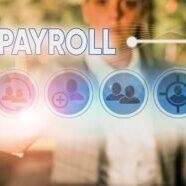 Setting up a payroll scheme